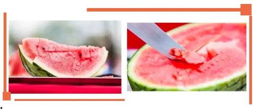 吃瓜视频资源沙河幼师瓜,揭秘幼师圈内的那些事