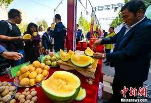 德宏吃瓜新闻视频最新