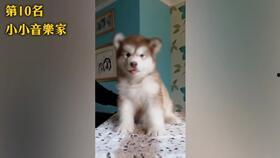 吃瓜视频蝴蝶姐姐