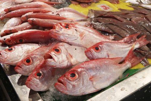 海鲜吃货视频声控八瓜鱼,海鲜吃货视频中的神秘海鲜探索之旅