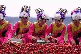 第五届樱桃节吃瓜视频